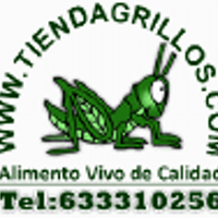tiendagrillos.com (@tiendagrillos) 's Twitter Profile