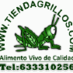 tiendagrillos.com (@tiendagrillos) Twitter profile photo