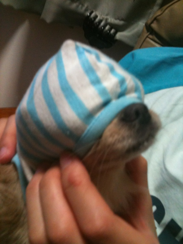 ryo_9n's profile picture. 