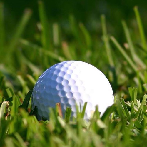 antconsig's profile picture. hazard