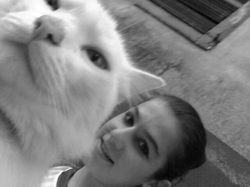 Te Amoo Everton R. Blat
