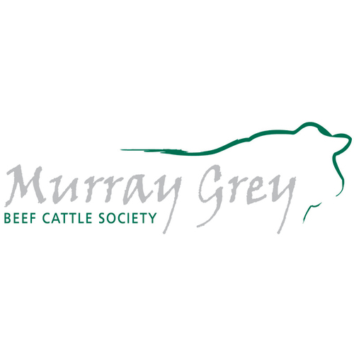 The MGBCS oversees the recording and registration of Murray Grey Cattle throughout Australia & helps to promote Australia's carcase breed to the world.