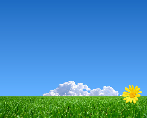 Thinkspiration's profile picture. live every day.  quotes to inspire and motivate.