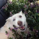 russ robinson - @rustyybenz - Twitter