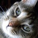 Mairead Bertoli - @MistyPretty - Twitter