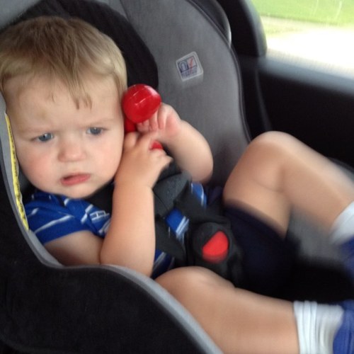 msheebs3's profile picture. 