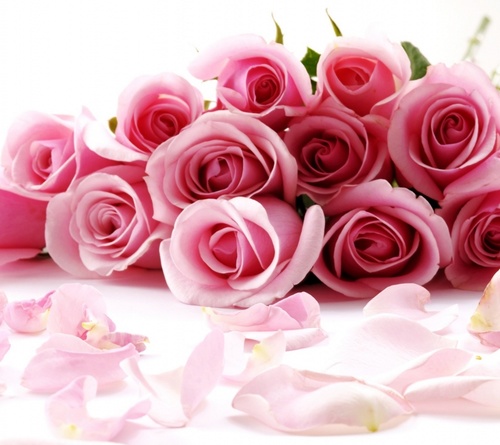 analia_mina's profile picture. 