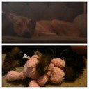 Austin Downs - @downs_austin - Twitter