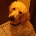 JAKE TERRELL - @cannont15 - Twitter