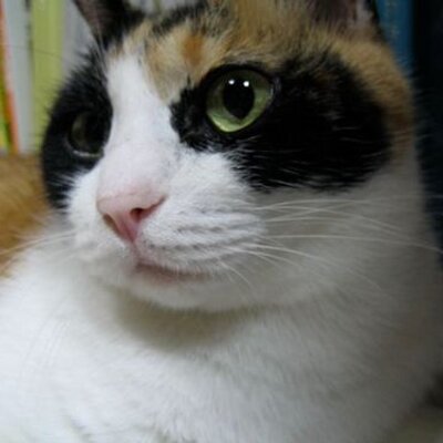 もんもん ピーター ドラッカーの名言 リーダーは仕事に目を向ける 重要なのは仕事であって 自らはその道具に過ぎない
