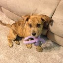 beverly hansen - @7beverly - Twitter