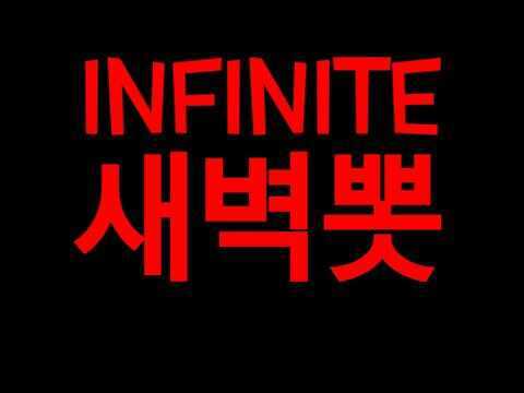 인 피 니 트 새 벽 뽓