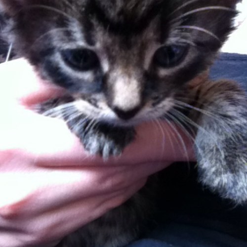 kimhuissen's profile picture. 