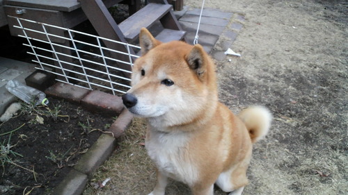 takachan628's profile picture. たくさんのブレーダーと交流したい！
小５の長男とゴーシューしています。
【戦績】
G1　2025福岡レギュラー　長男ベスト32🎁
G3オープン　長男🥇×１🥈×２🥉×１　私🥉×１
G3レギュラー　長男🥇×２　長女（引退）🥈×１🥉×１
S1オープン　長男🥈×１