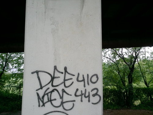 Deenice410443's profile picture. 