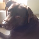 Bev Jackson - @BevJackson1 - Twitter