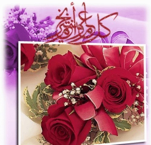 BronziaKoko73's profile picture. أدري اني في محبتك محسود_ !!ياكثر ناااس تمنت فرقا بسمتي عن بسمتك !!  وادري إنك عن هوى غيري شرود ؟!! واني أغلى من تشوفه نظرتك.