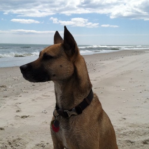 rcjankowski's profile picture. 