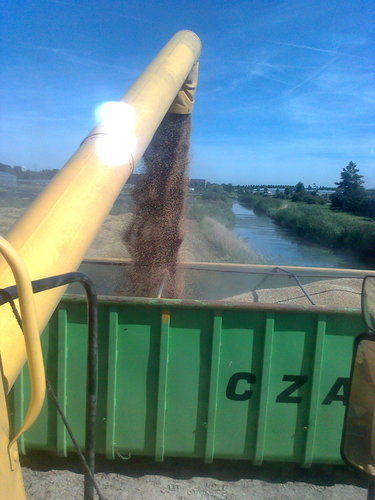 Slakabouter's profile picture. 