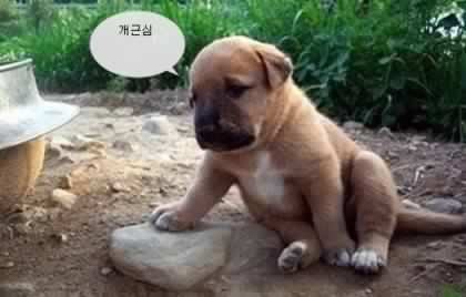 swj3818's profile picture. Airplane & Train