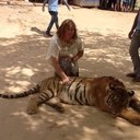 robyn bray - @BrayRobyn - Twitter