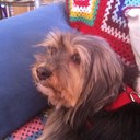 Elisa Arias - @minunarias - Twitter