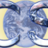 URCompSci's profile image