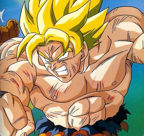 hi i'm goku and my father is bardock and my sons is gohan and goten  *smiles* #married