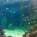 Flora Day - @FloraDay7 - Twitter