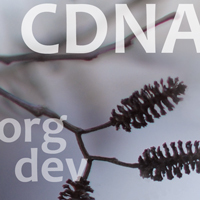 cdna_OrgDev's profile picture. The DNA of Collaboration: Unlocking Insight & Intention in the 21st century. // #HR #OrgDev #cdna