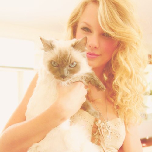 ihteyourp's profile picture. 