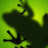 bicisnob's profile image