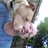bull74251's profile image