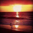 Estella Becker - @Stellieb01 - Twitter