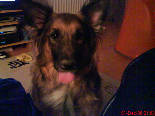 tonifunky's profile picture. 