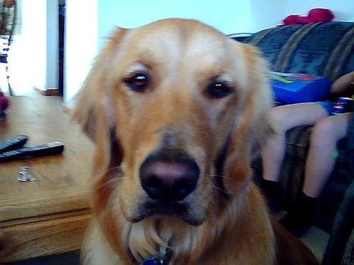 teamedward_30's profile picture. 