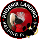 #Parrots#Photography#VisionaryArt #HTTR #Phoenix Landing, #Digital #RichmondVa #Photoshop #RVA #http://melissa-messick.artistwebsites.com/