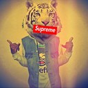 Indian™ - @Freddy_Tran - Twitter