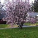 Ella Stevens - @ellastevens51 - Twitter