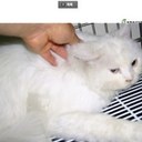 Connie Li - @connie0358 - Twitter