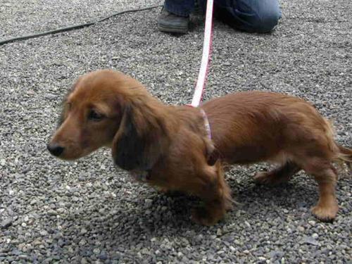 kenkenken1964's profile picture. 