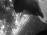♥bob esponja♥screamo♥chocolate♥luau♥black veil brides♥coca-cola♥Doritus♥animes♥the gazette♥
