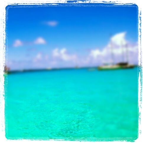 JOCHYA's profile picture. I live where you vacation this is Puerto Rico