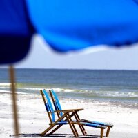 Denise Canneto (@wadayanuts) 's Twitter Profile