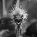 Lori Constine (@mommacons) Twitter profile photo