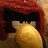 novasinfonian's profile image
