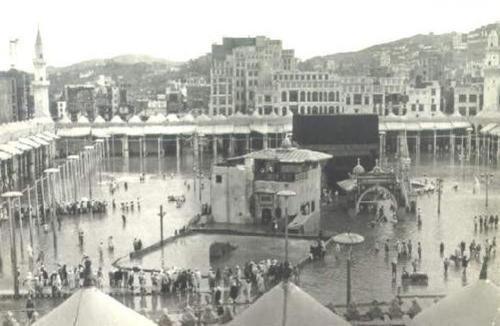 28_doha's profile picture. 