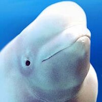 Marineland Canada (@marinelandcan) 's Twitter Profile