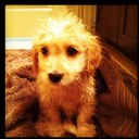 Amanda Pogue - @amandaleepogue - Twitter