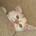 Helen Sotiriou (@helensotiriou) Twitter profile photo